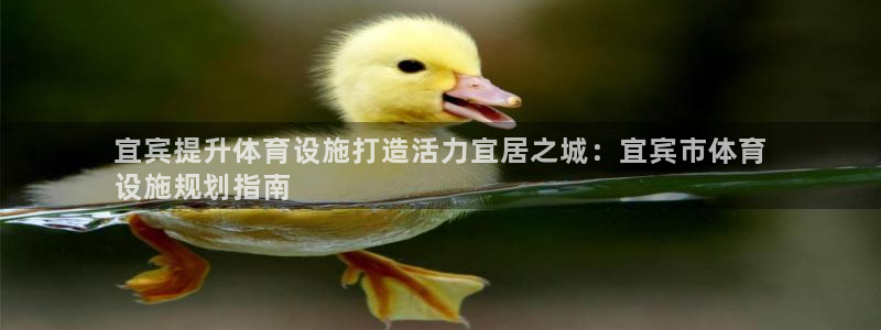 尊龙凯时登陆网址