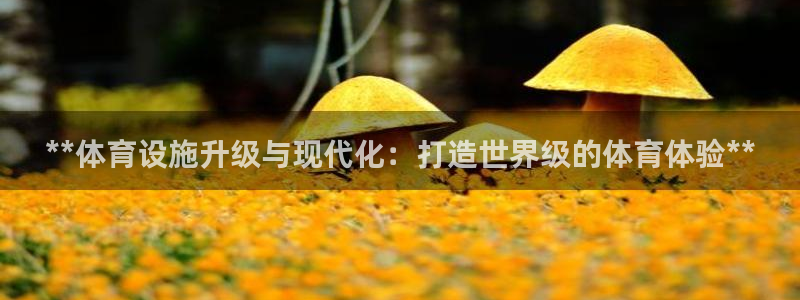 凯时首页登录