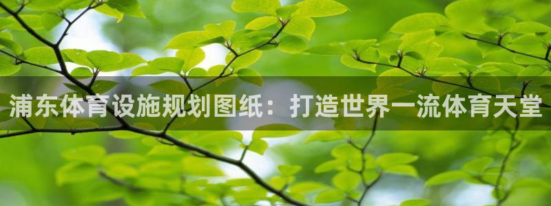 尊龙凯时充值不到账