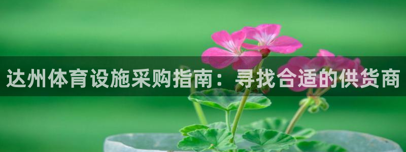 凯时国际平台有人赢吗