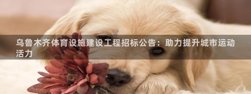 尊龙新版登录网址下载