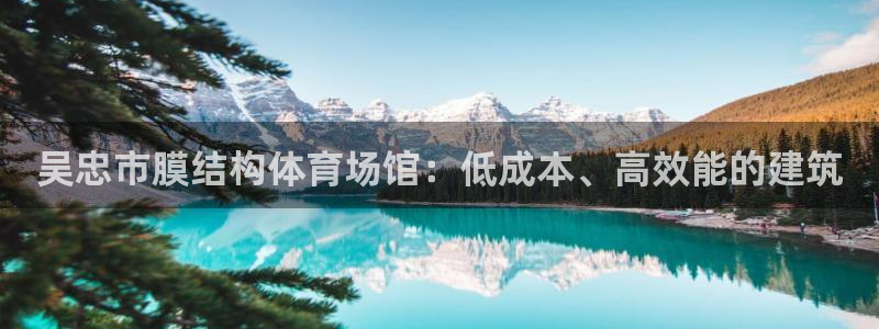 尊龙手机客户端app