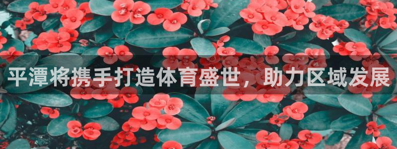 尊龙凯时人生就是搏z6com