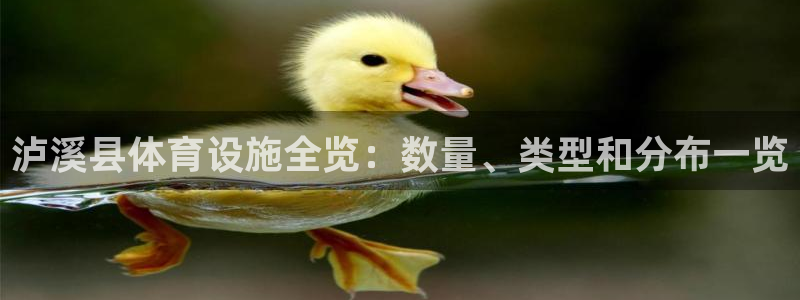 z6尊龙凯时旗舰厅