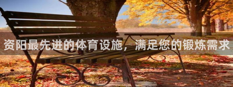 尊龙官网手