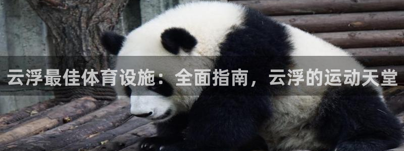 尊龙凯时平台信誉怎样