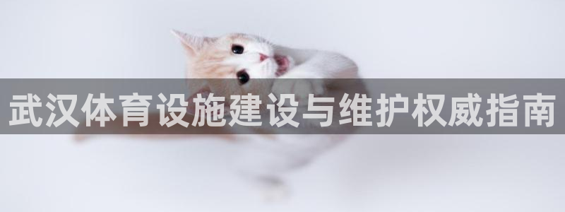 尊龙凯时输钱的原因