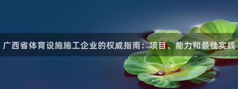 尊龙集团有限公司地址