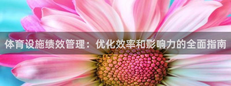 尊龙手机客户端app