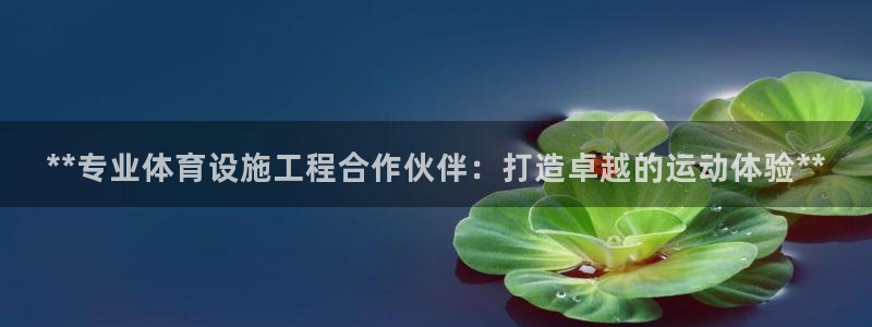 尊龙凯时app官网
