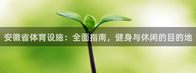 尊龙官网入口