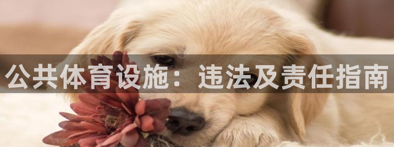 尊龙 贴吧