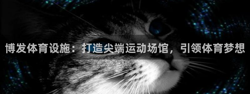 尊龙凯时赢不了