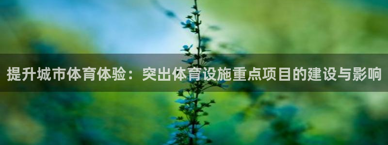 凯时登录