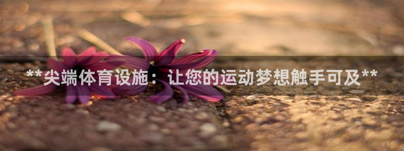 尊龙官方网站