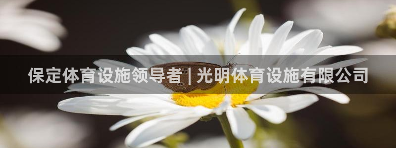 尊龙凯时官网正规吗