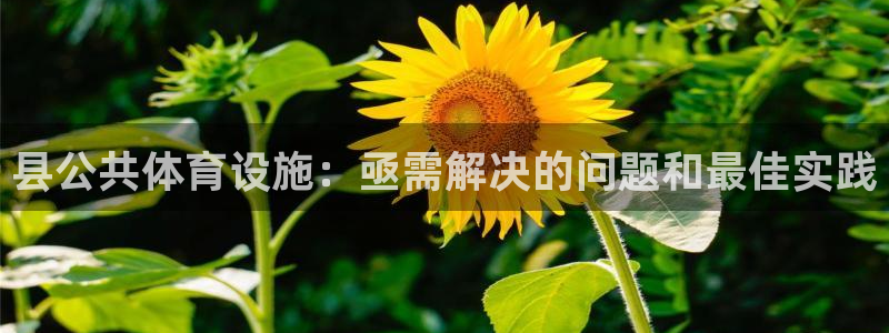 尊龙d88官网QU来就送38