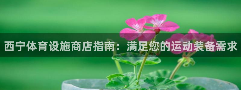 尊龙官网入口