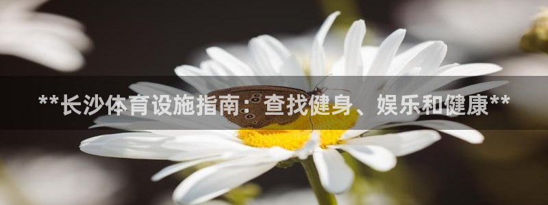 尊龙人生就是博首页入口