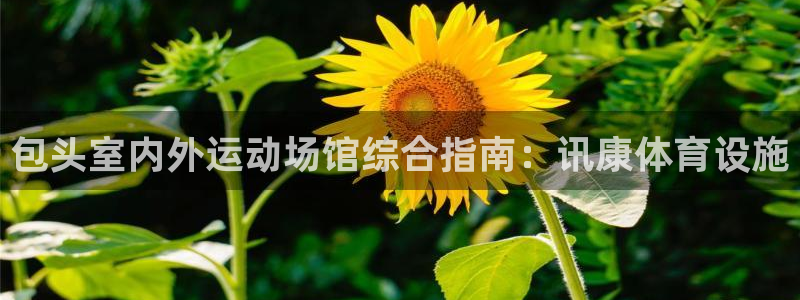 尊龙游戏官方网