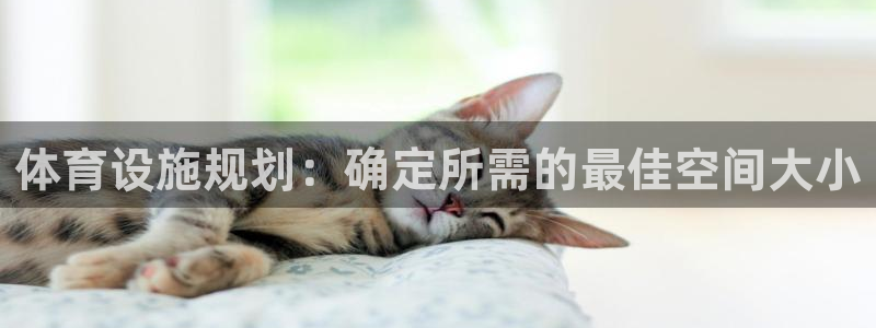 尊龙凯时官网入口