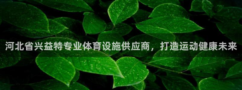 尊龙ag旗舰