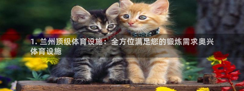 尊龙官方网站