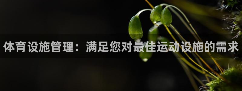 尊龙凯时官方下载