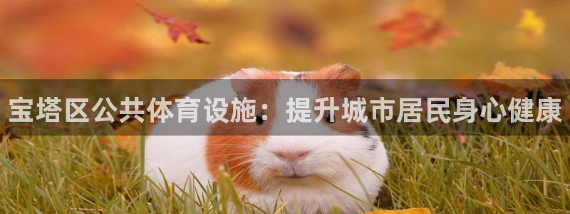 尊龙ag旗舰厅登录 租车app下载