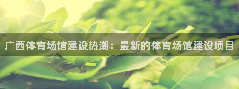 尊龙凯时注册