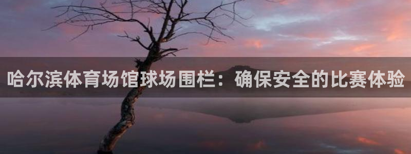 尊龙 下载