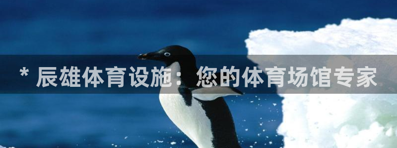尊龙新版手机app下载
