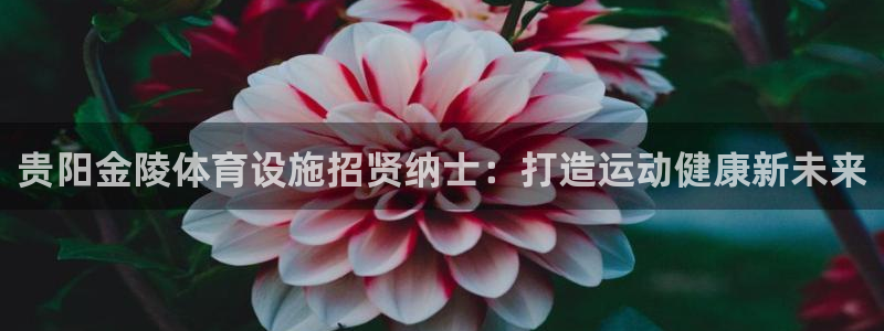 尊龙人生就是博旧版手机可靠送38元