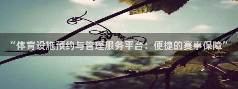 尊龙t500和t300区别