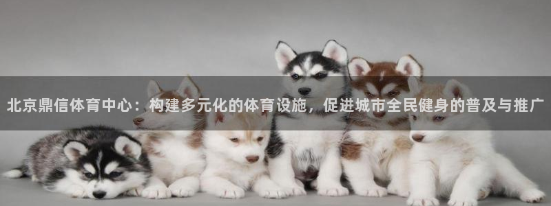 尊龙凯时app安装