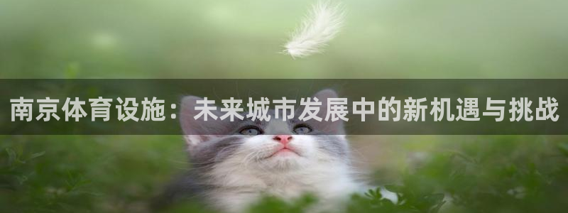 凯时首页登录