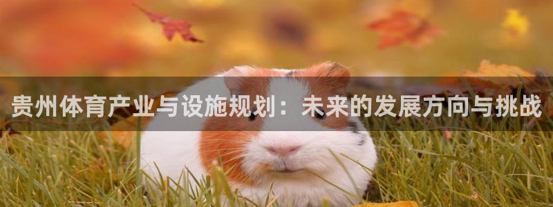 尊龙人生就是博ag旗舰厅