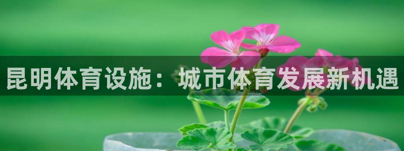 尊龙凯时-人生就是博中国官网首页