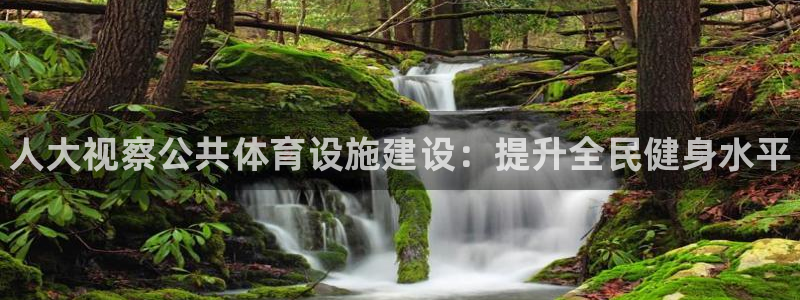 尊龙网址是多少