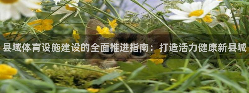 尊龙游戏官方网