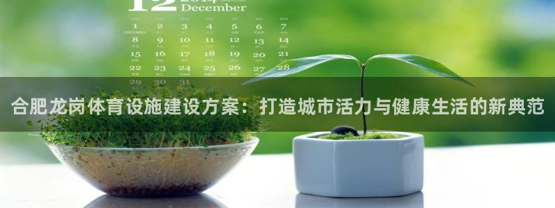 尊龙凯时网站怎么样