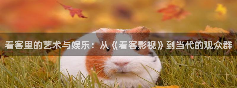 亚洲狠狠影院：看客里的艺术与娱乐：从《看客影视》到当代的观众群