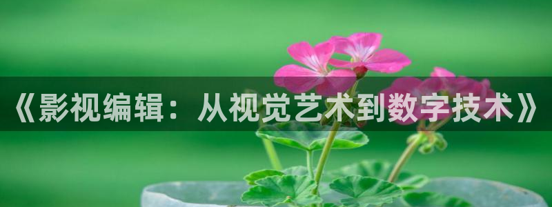 亚洲狠狠影院